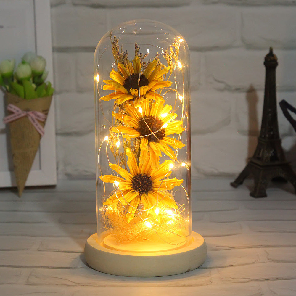 Factory Outlet Cross-Border Explosion Model Dry Flower Glass Cover Decorative LED Light Decoration Office Home Decoration Gift