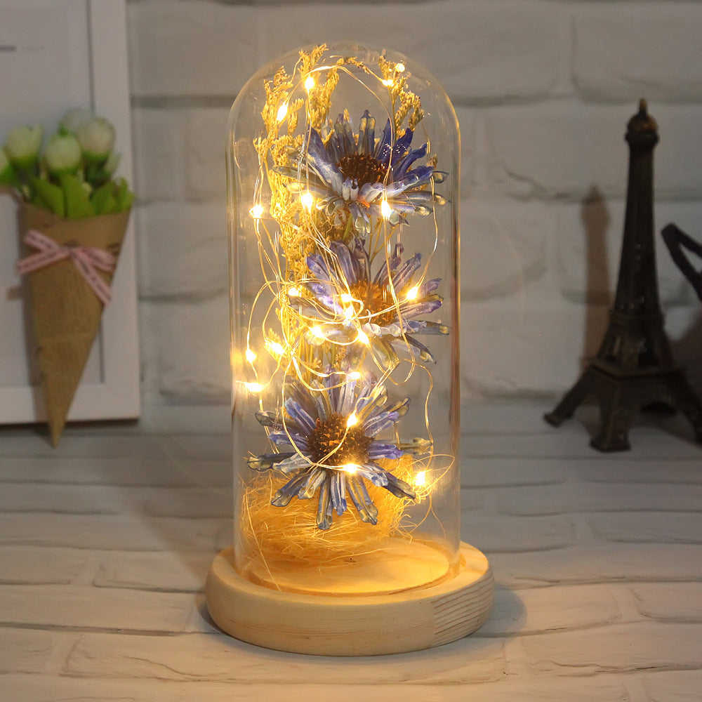 Factory Outlet Cross-Border Explosion Model Dry Flower Glass Cover Decorative LED Light Decoration Office Home Decoration Gift